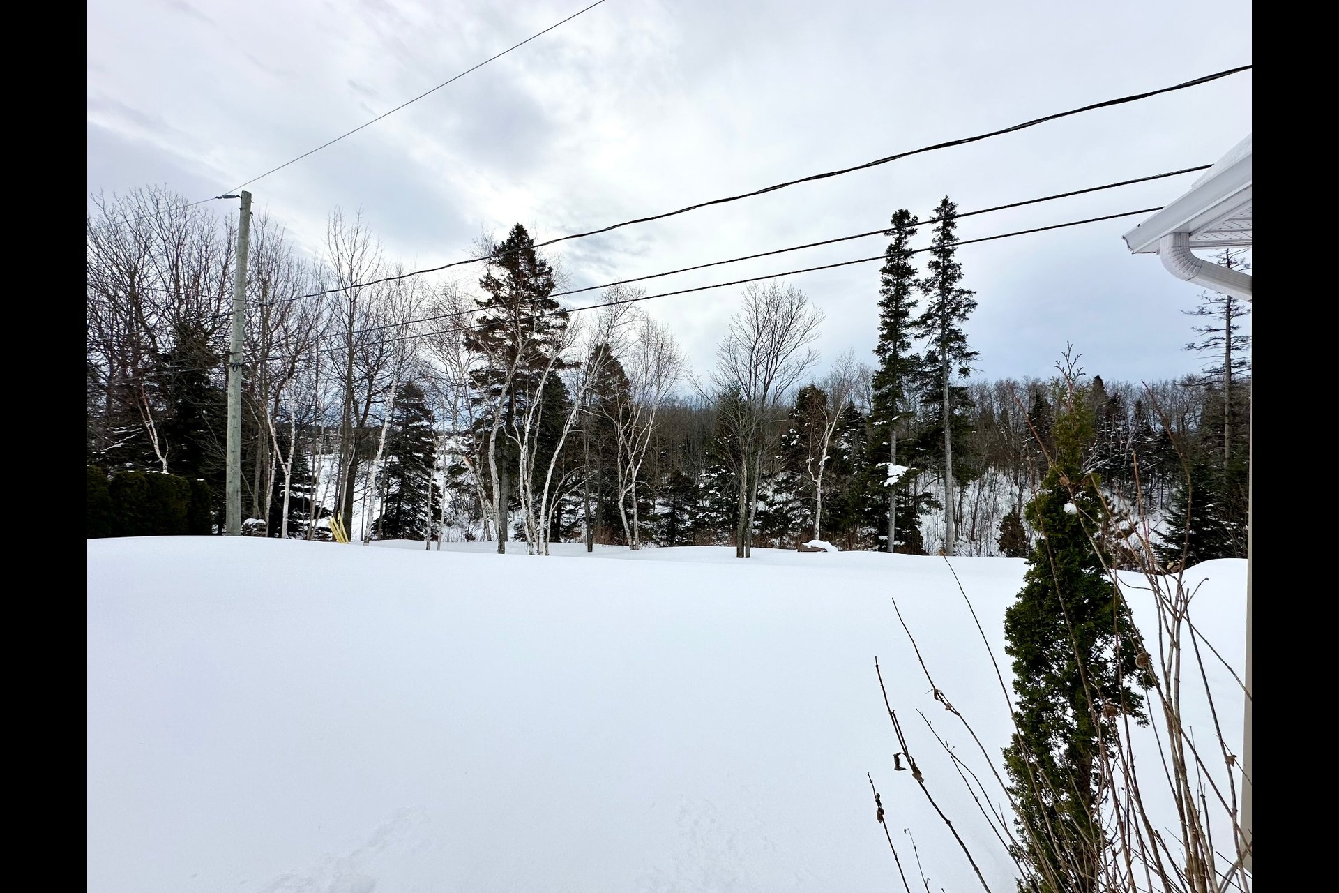 image 31 - House For sale Chicoutimi Saguenay  - 15 rooms
