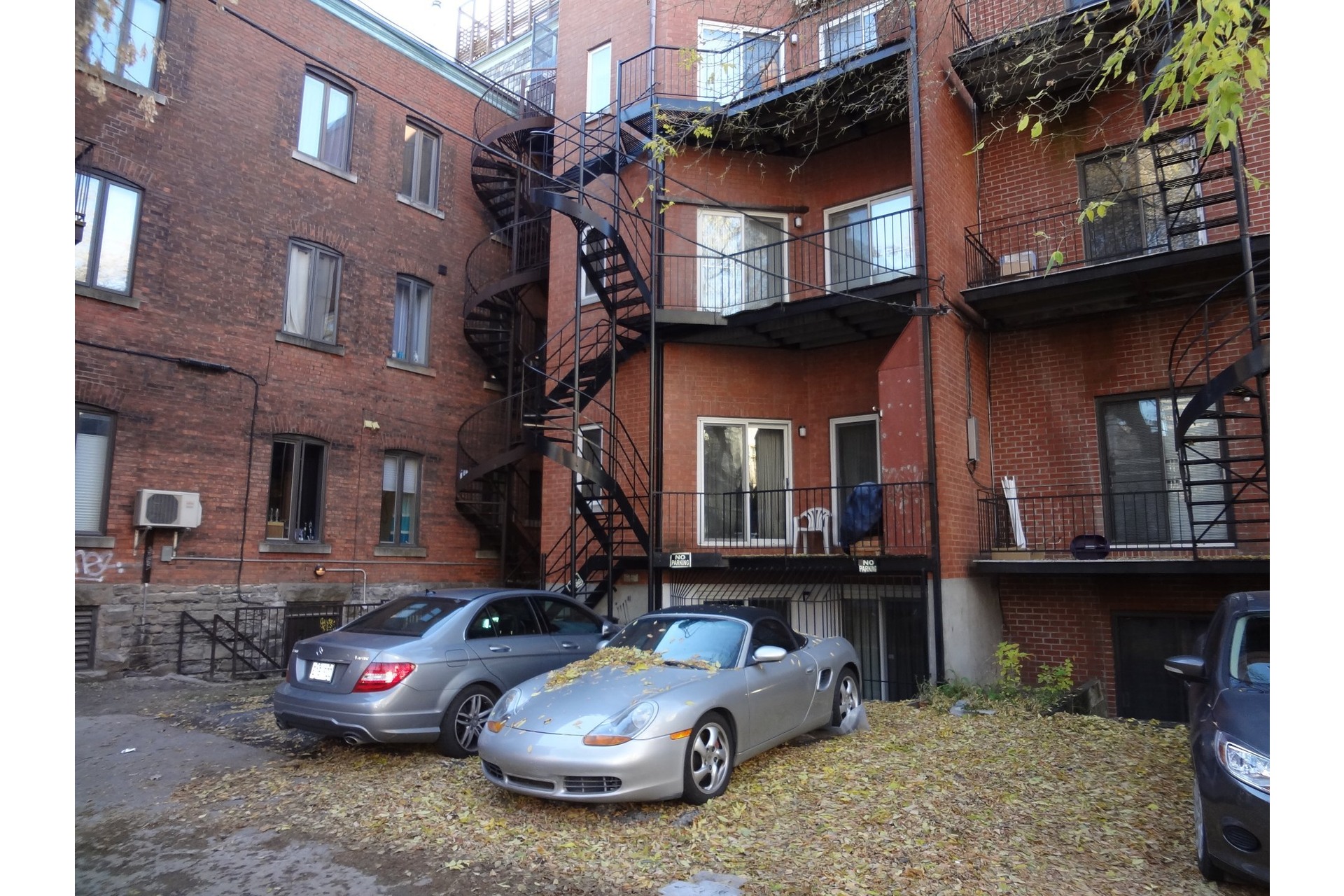 image 8 - Apartment For rent Le Plateau-Mont-Royal Montréal  - 5 rooms