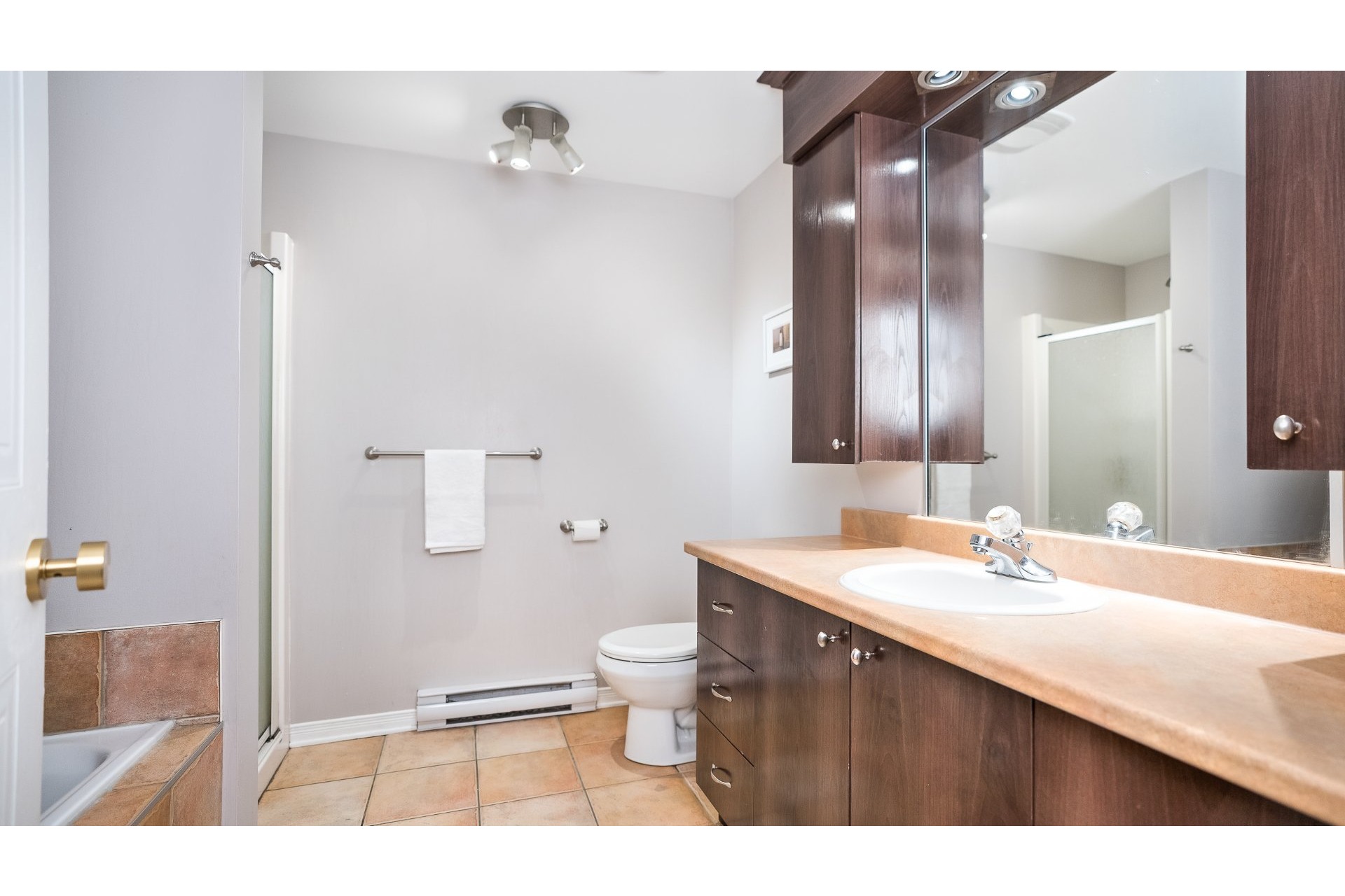 image 15 - Apartment For sale Rosemont/La Petite-Patrie Montréal  - 9 rooms