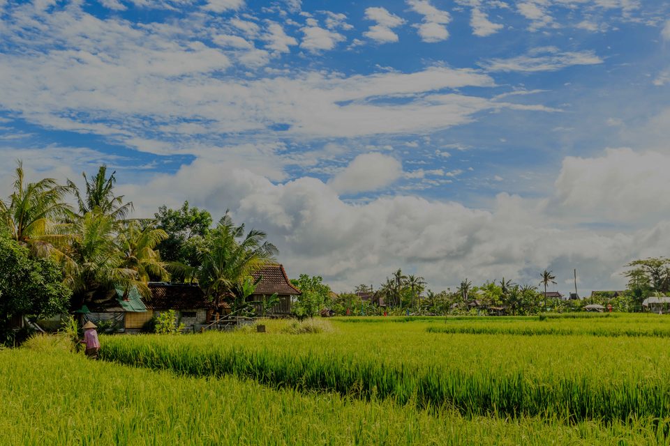 Umalas, el hotspot de lujo en Bali - Indonesia
